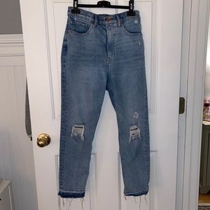 EXPRESS Mom Jeans